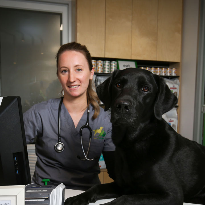 Veterinary Services at Alphington & Fairfield Vet