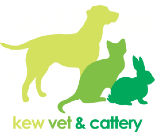 Kew Vet 