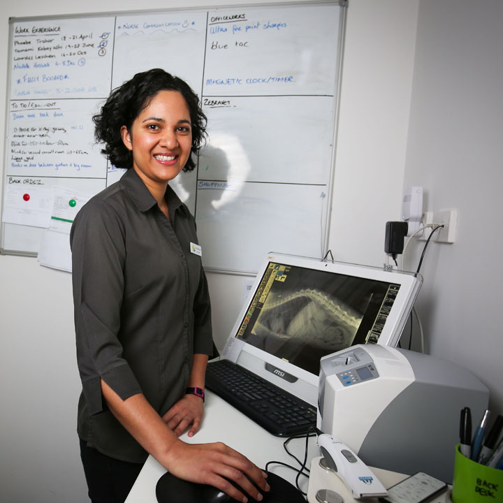 Veterinary Services at Alphington & Fairfield Vet