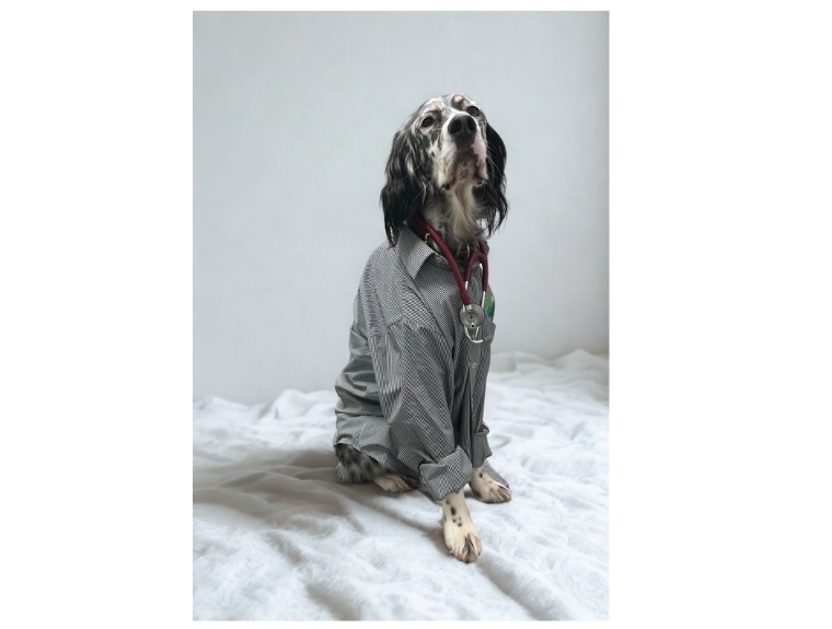 🩺 What to Expect at Your Pet’s Annual Check-Up